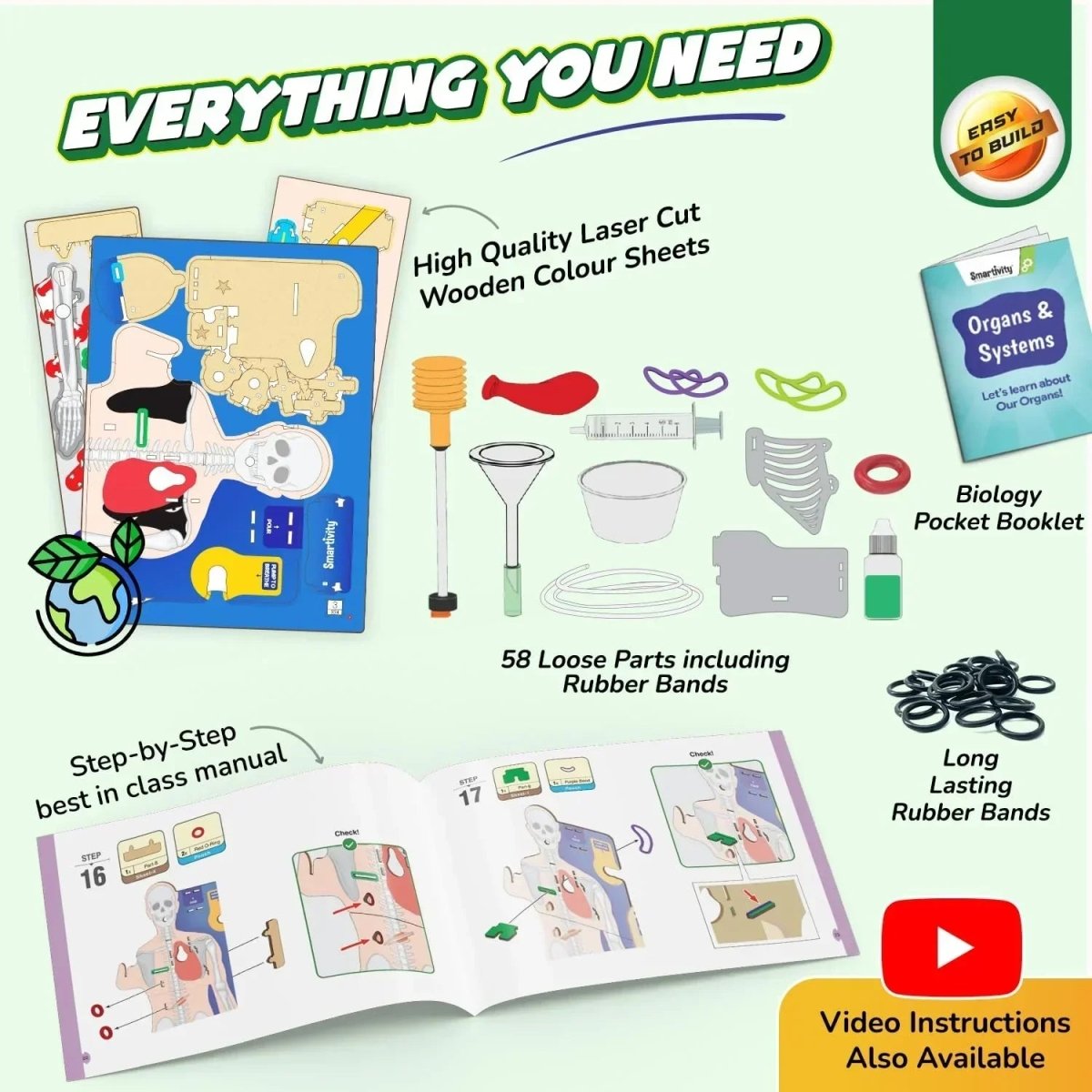 Science Model Homework Body Smartivity DIY Human Body Model - Interactive STEM Learning – Naivri