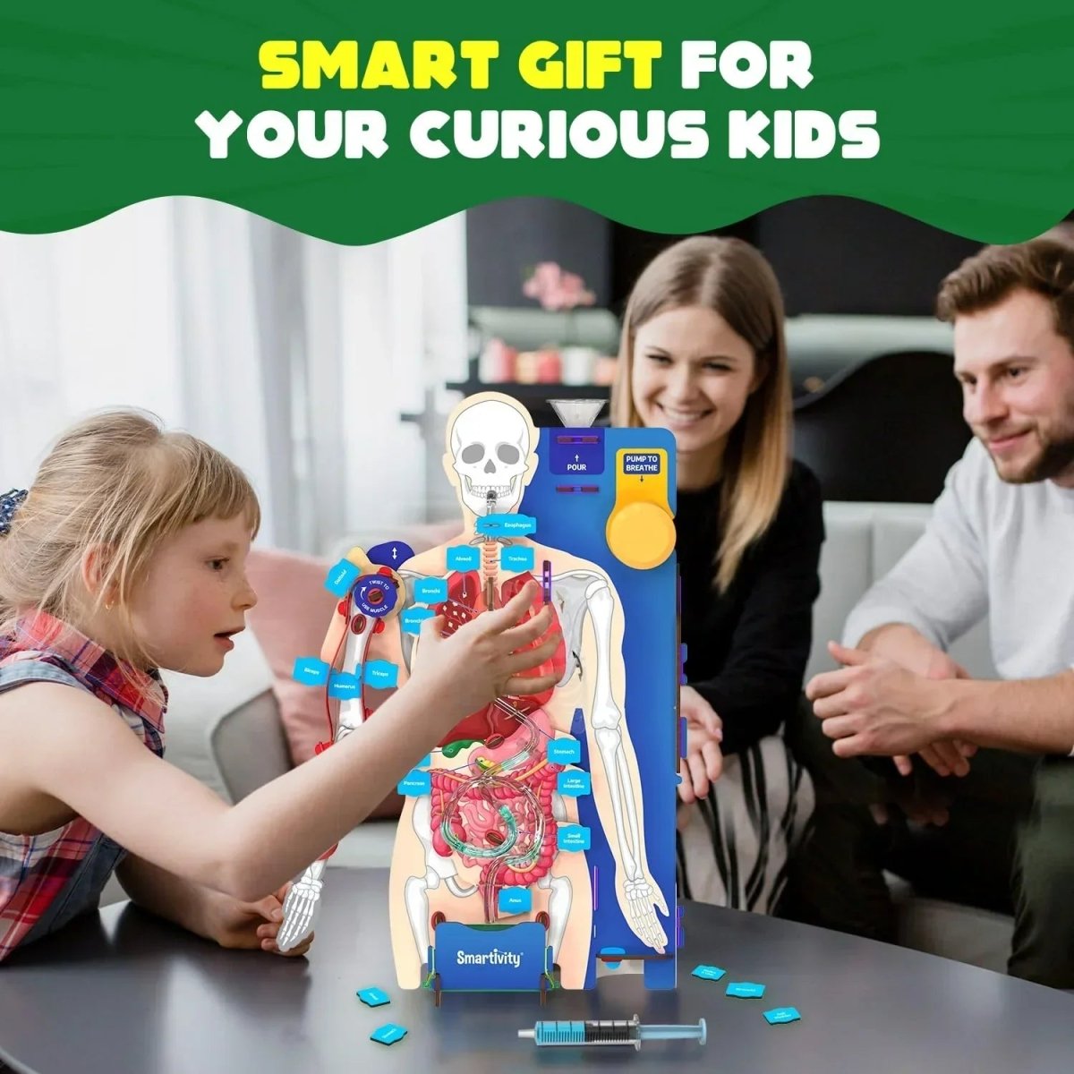 Science Model Homework Body Smartivity DIY Human Body Model - Interactive STEM Learning – Naivri