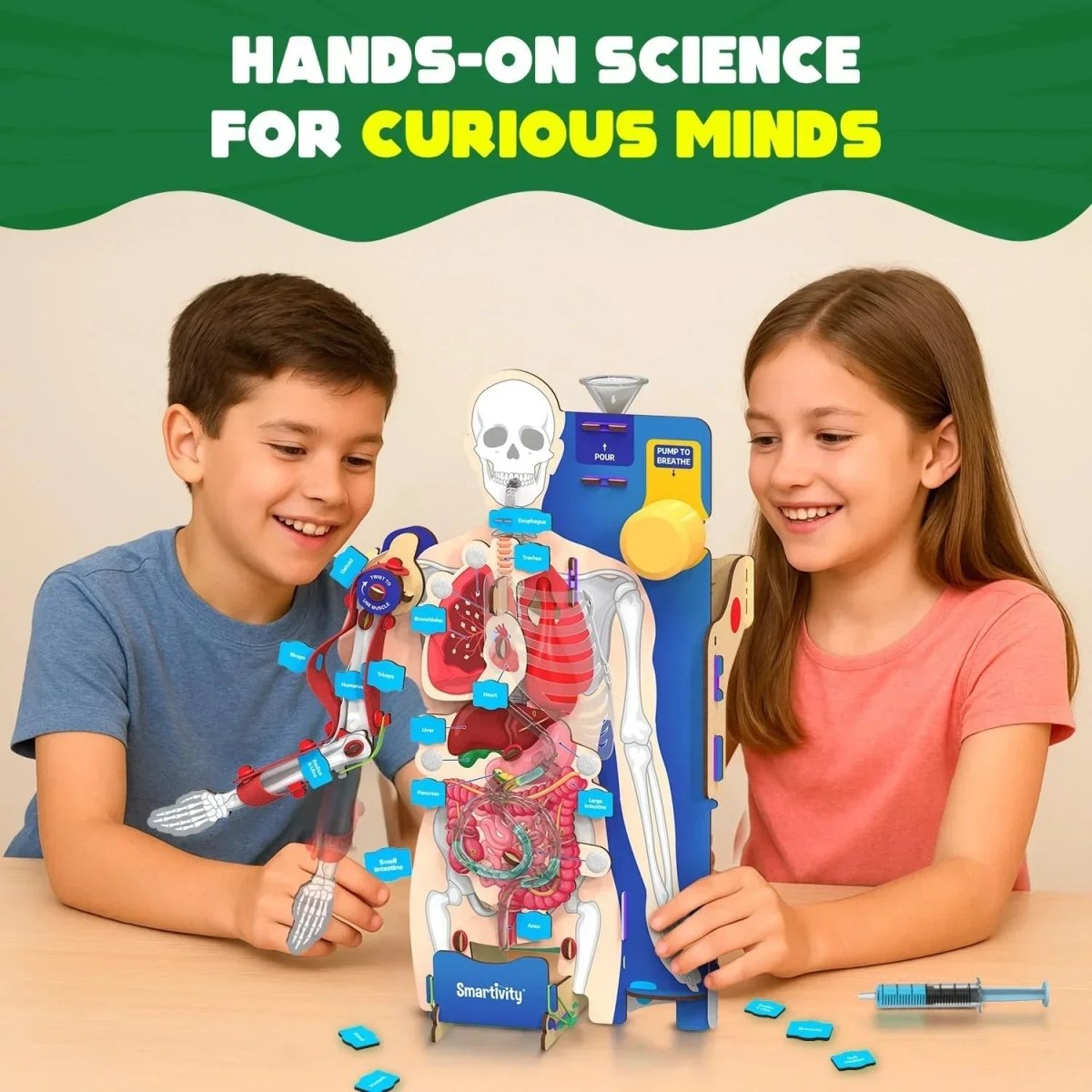 Science Model Homework Body Smartivity DIY Human Body Model - Interactive STEM Learning – Naivri