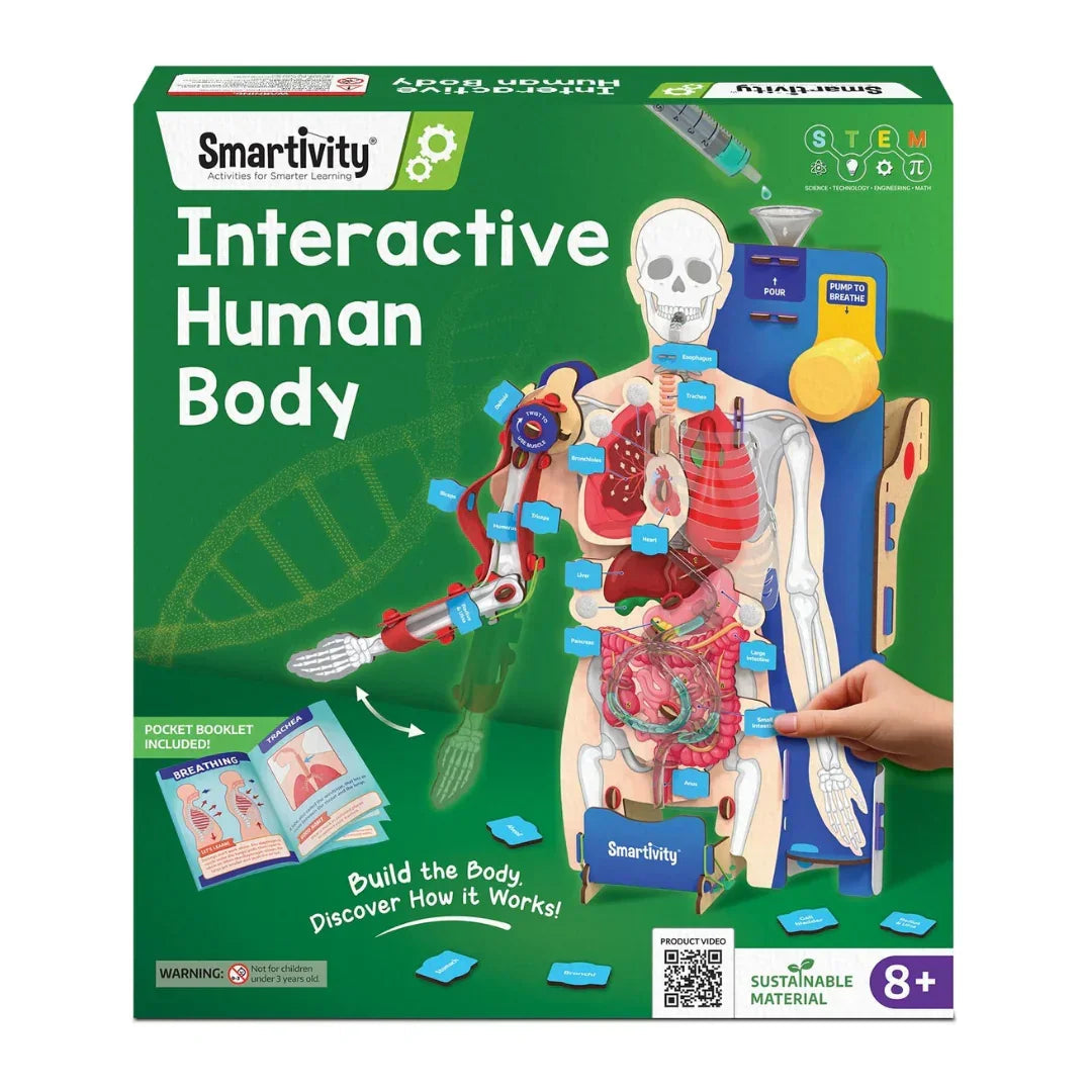 Science Model Homework Body Smartivity DIY Human Body Model - Interactive STEM Learning – Naivri