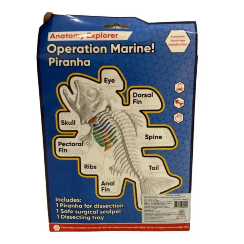 Youreka STEM Anatomy Explorer – Operation Marine! Fish Dissection Kit ...
