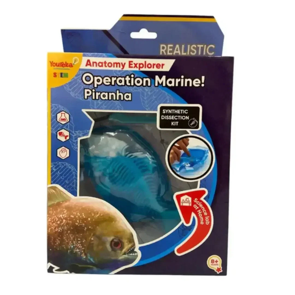 Youreka STEM Anatomy Explorer – Operation Marine! Fish Dissection Kit ...